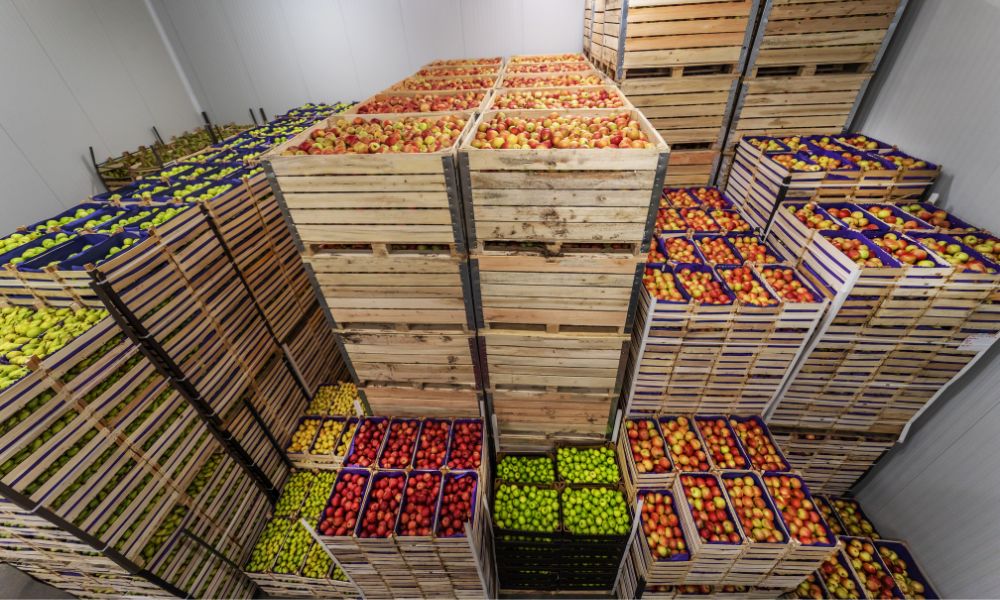 果蔬冷庫 果蔬冷庫