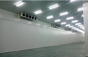 成都曉德農業(yè)200平方米保鮮庫和冷凍庫工程案例