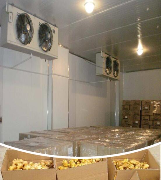 保鮮庫/香蕉保鮮冷庫設(shè)計(jì)規(guī)范_上海開冉制冷