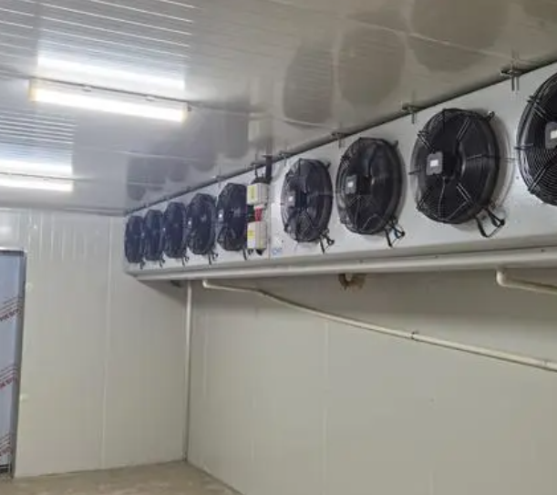 速凍冷庫的優(yōu)點(diǎn)有哪些？_上海開冉制冷