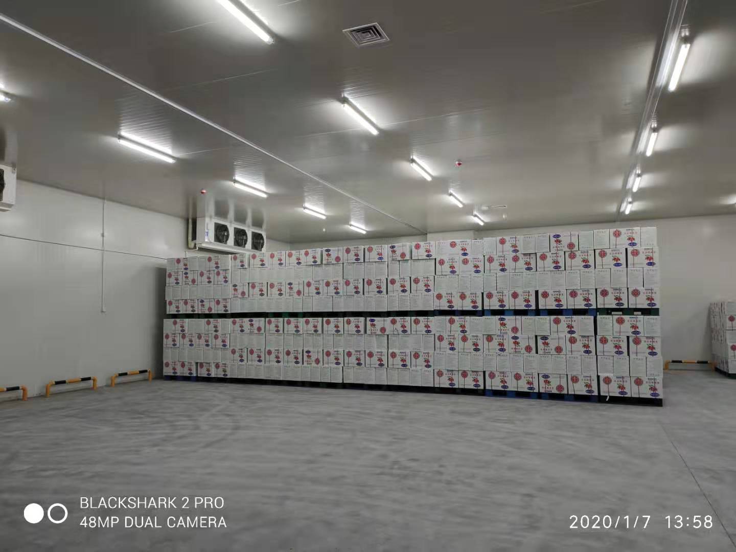 49500m3洽洽食品加工冷庫 49500m3洽洽食品加工冷庫