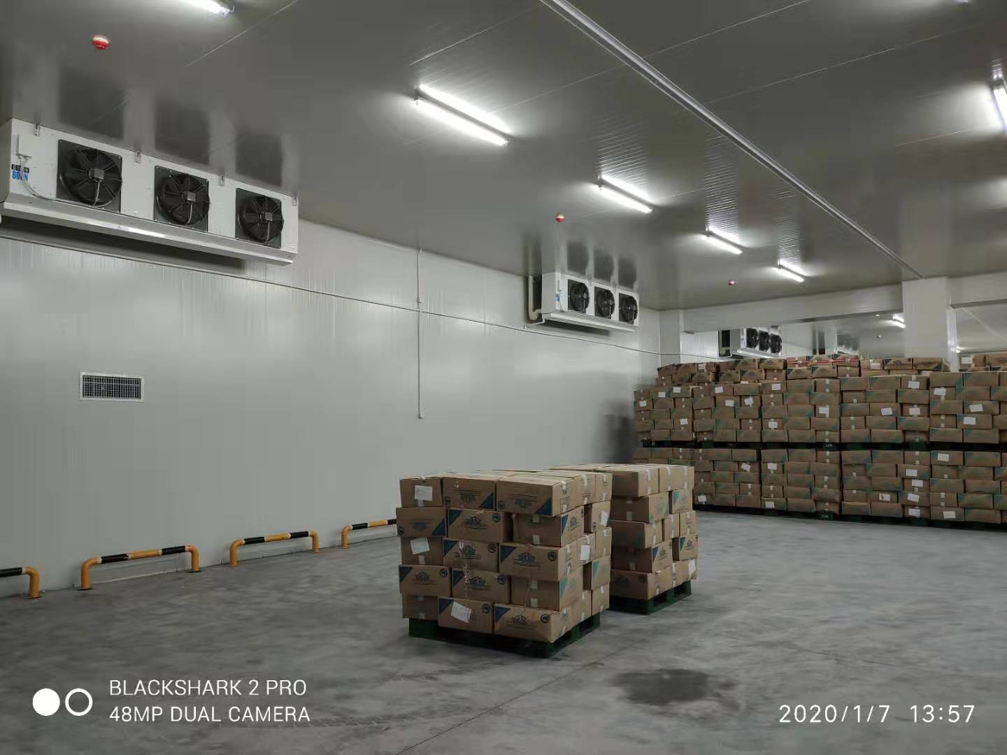 49500m3洽洽食品加工冷庫 49500m3洽洽食品加工冷庫