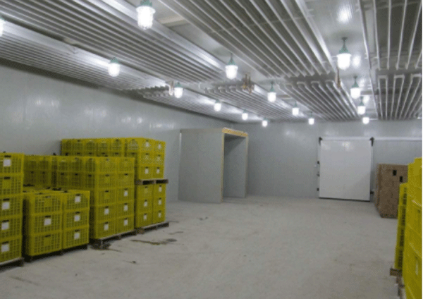 農產品出口冷庫 農產品出口冷庫