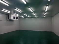 黃梅兩山農(nóng)業(yè)食品加工冷庫(kù)(小龍蝦冷凍庫(kù))新工程案例